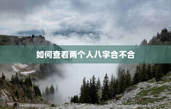 如何查看两个人八字合不合