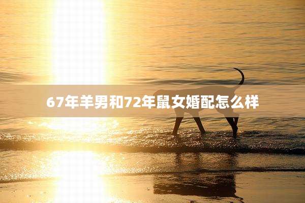 67年羊男和72年鼠女婚配怎么样