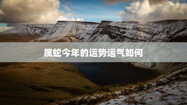 属蛇今年的运势运气如何