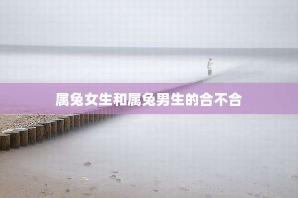 属兔女生和属兔男生的合不合