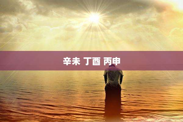 辛未 丁酉 丙申