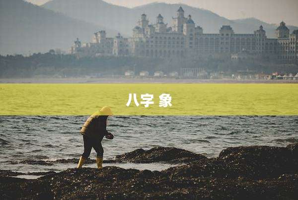 八字 象