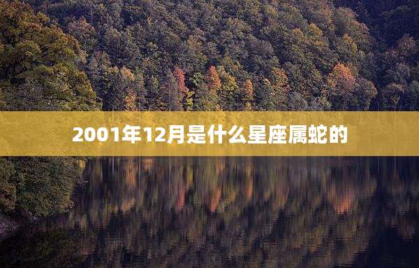2001年12月是什么星座属蛇的