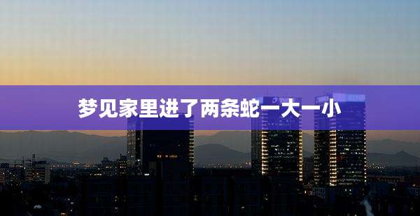 梦见家里进了两条蛇一大一小