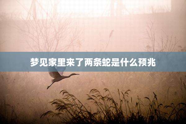梦见家里来了两条蛇是什么预兆