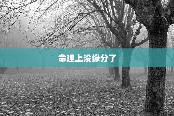命理上没缘分了