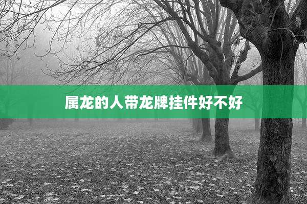 属龙的人带龙牌挂件好不好