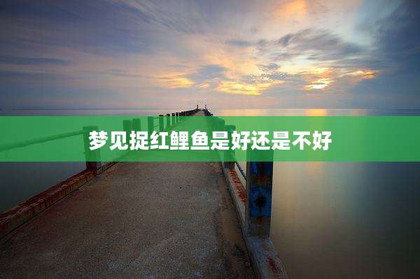 梦见捉红鲤鱼是好还是不好