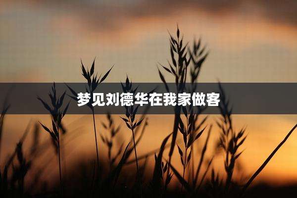 梦见刘德华在我家做客