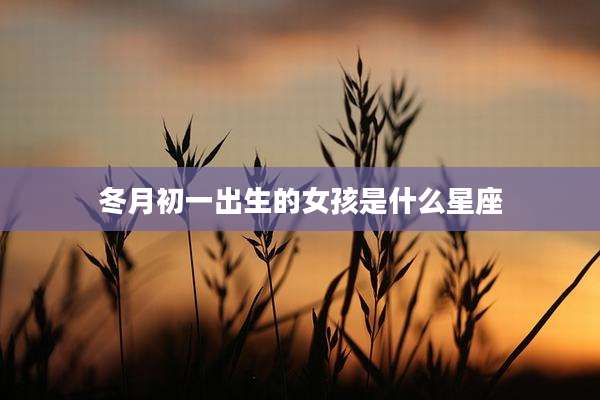 冬月初一出生的女孩是什么星座