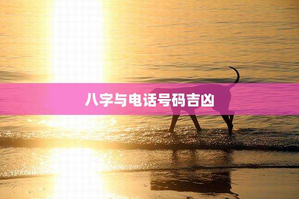 八字与电话号码吉凶