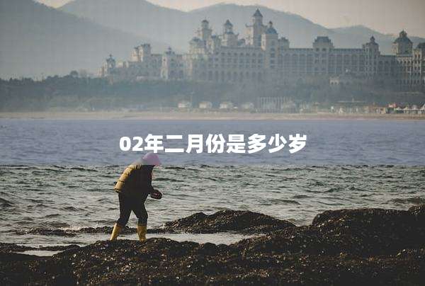 02年二月份是多少岁