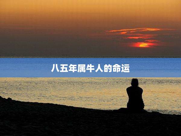 八五年属牛人的命运