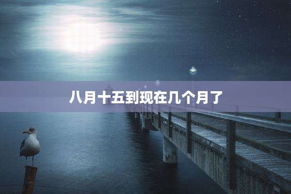 八月十五到现在几个月了