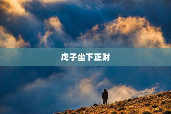 戊子坐下正财