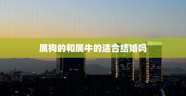 属狗的和属牛的适合结婚吗