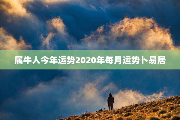 属牛人今年运势2020年每月运势卜易居