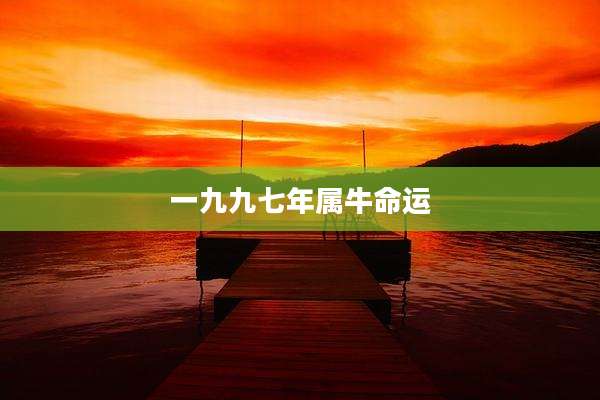 一九九七年属牛命运