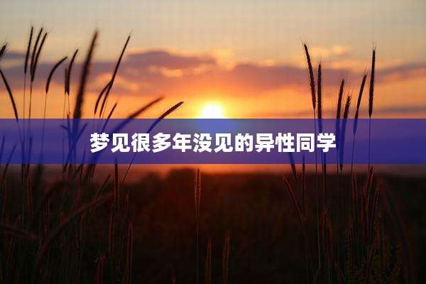 梦见很多年没见的异性同学