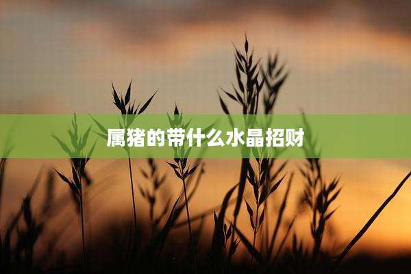 属猪的带什么水晶招财
