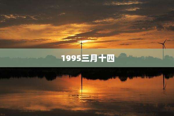 1995三月十四