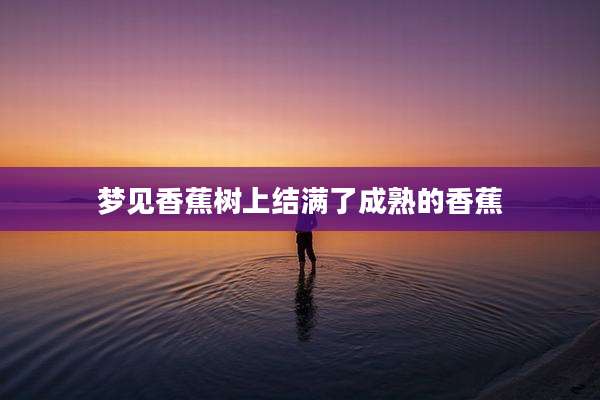 梦见香蕉树上结满了成熟的香蕉