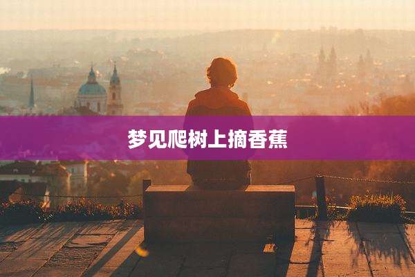 梦见爬树上摘香蕉