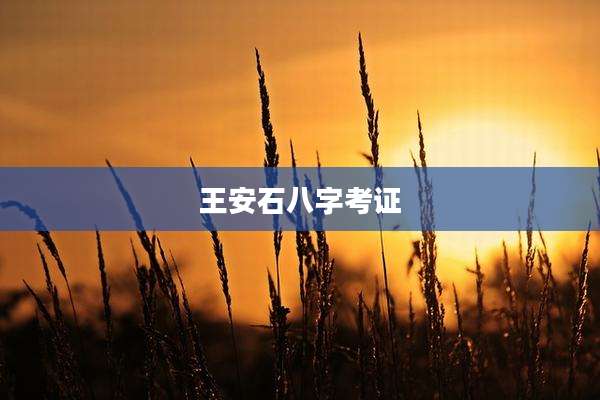 王安石八字考证