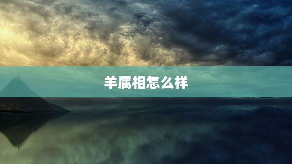 羊属相怎么样