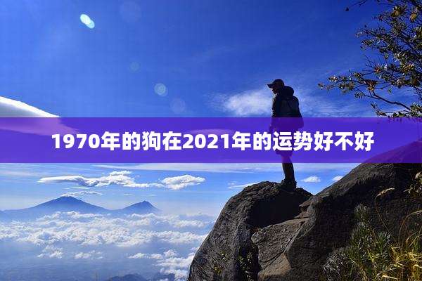 1970年的狗在2021年的运势好不好