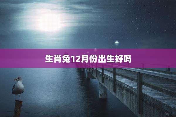 生肖兔12月份出生好吗
