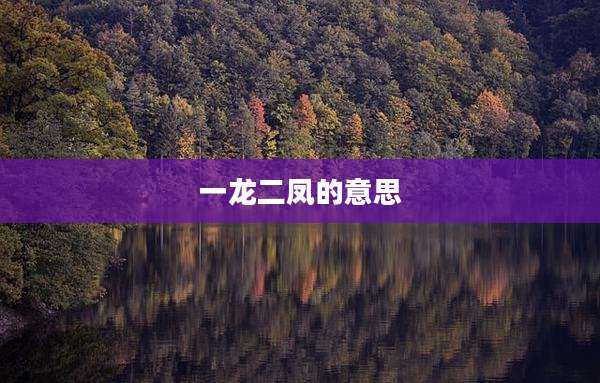 一龙二凤的意思