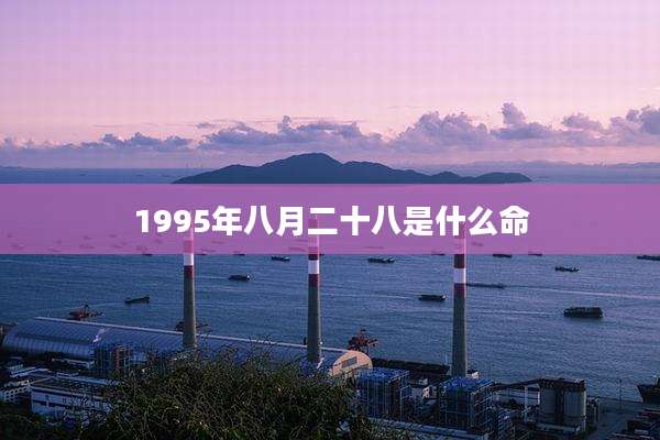 1995年八月二十八是什么命