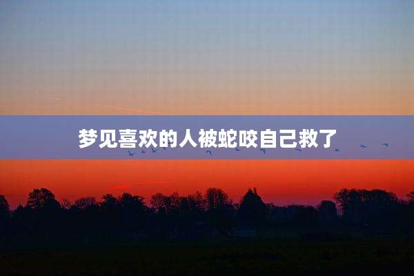 梦见喜欢的人被蛇咬自己救了