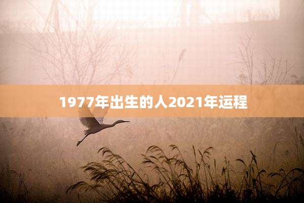 1977年出生的人2021年运程