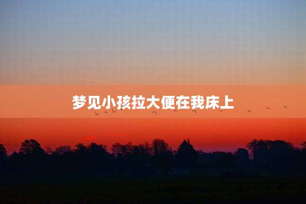 梦见小孩拉大便在我床上