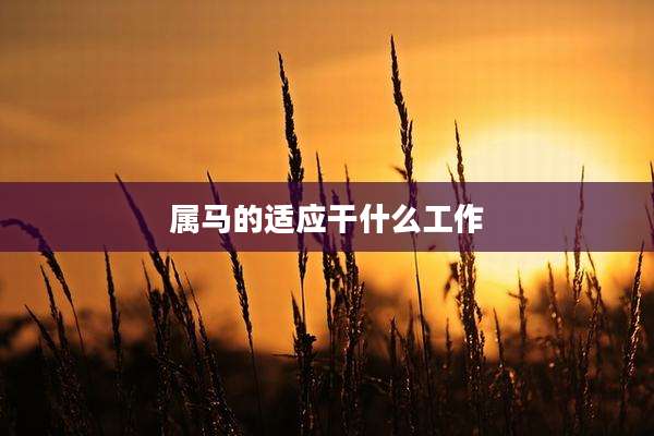 属马的适应干什么工作