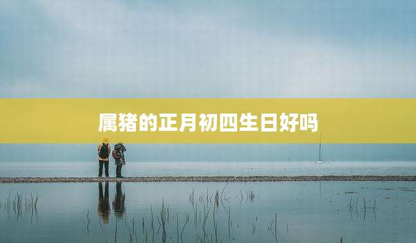 属猪的正月初四生日好吗