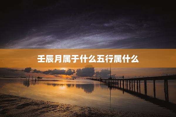 壬辰月属于什么五行属什么