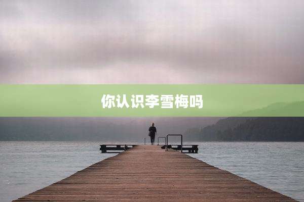 你认识李雪梅吗