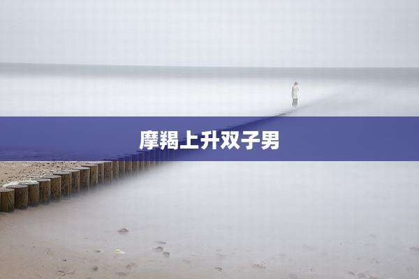 摩羯上升双子男
