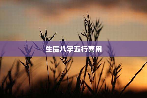 生辰八字五行喜用
