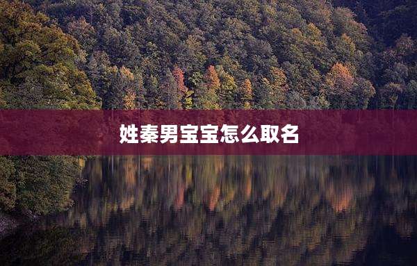 姓秦男宝宝怎么取名