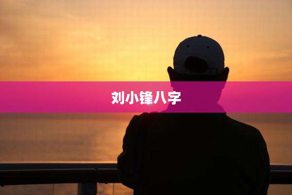 刘小锋八字