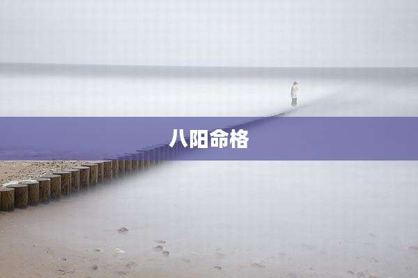 八阳命格