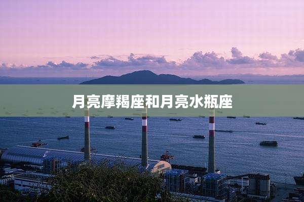 月亮摩羯座和月亮水瓶座