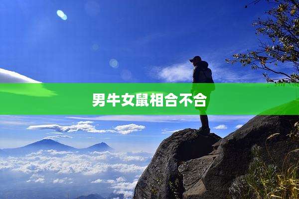 男牛女鼠相合不合