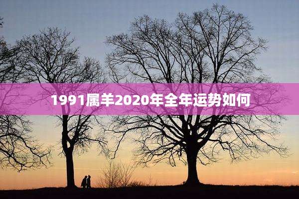 1991属羊2020年全年运势如何