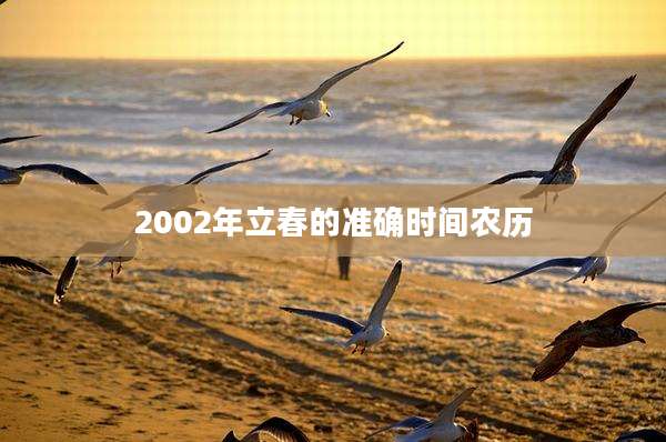 2002年立春的准确时间农历
