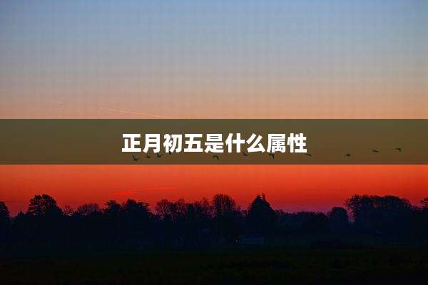 正月初五是什么属性